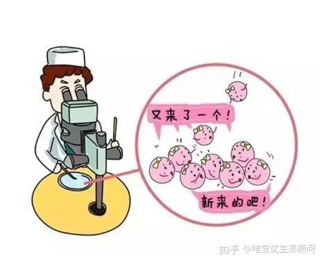 十堰捐卵招聘
