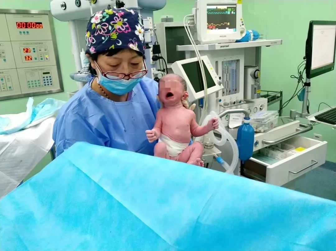 取卵数量