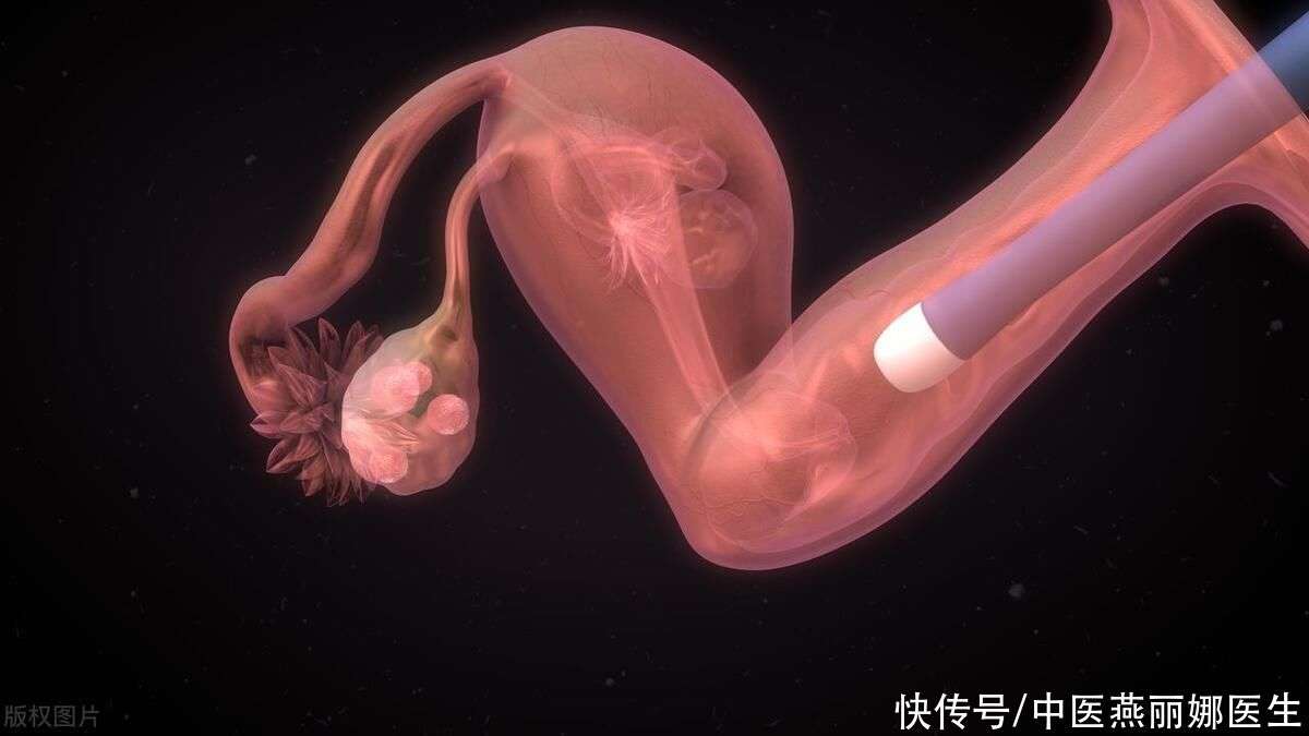 长春捐卵咨询