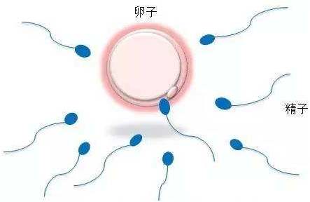 福州