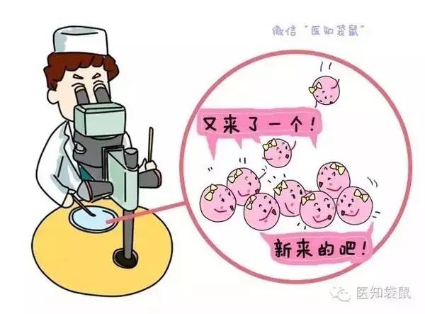金华高薪招聘捐卵志愿者