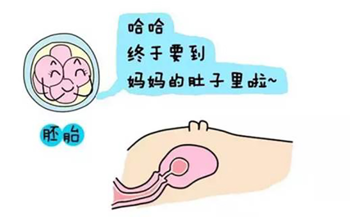 深圳助孕中心