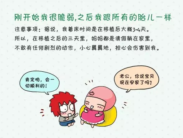 捐卵