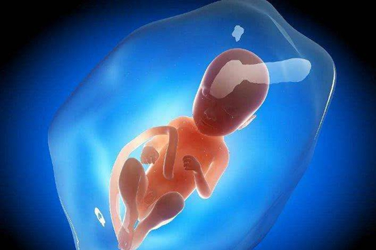 无锡有偿招聘捐卵女孩