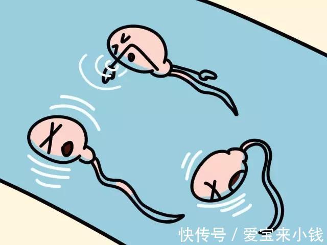 捐卵