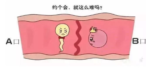 武汉捐卵供卵中心