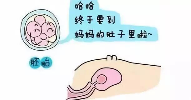 绵阳捐卵咨询