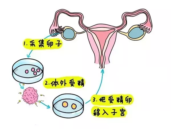 阜阳