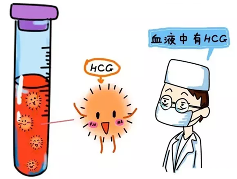 金华高薪招聘捐卵志愿者