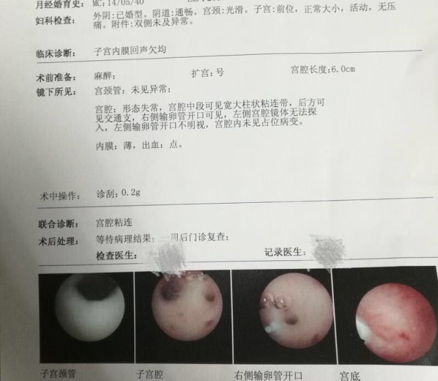 福州助孕中心