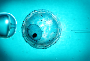 衡阳捐卵志愿者补充