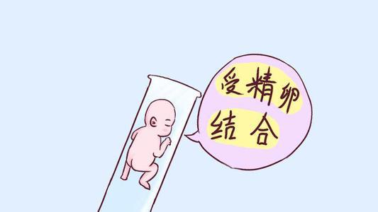 阳江捐卵咨询
