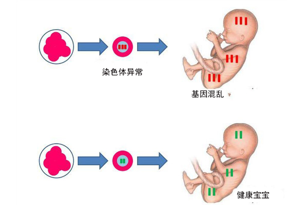 巴中助孕中心