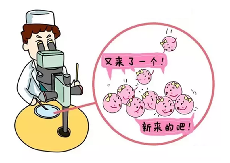 捐卵志愿者